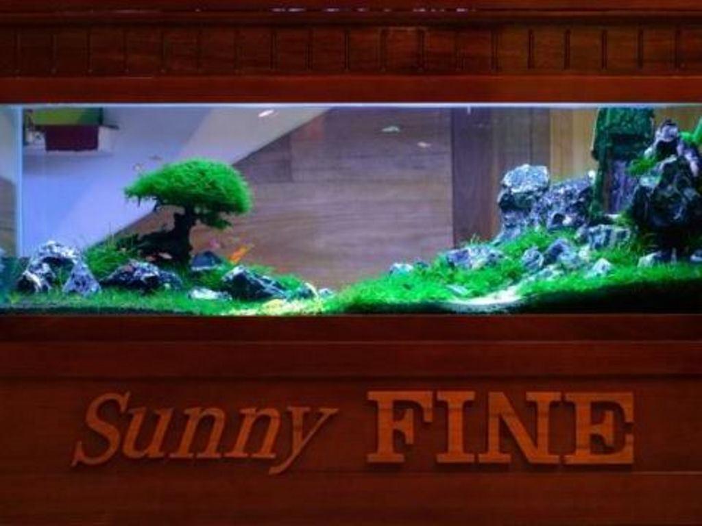 Sunny Fine Guesthouse Hue Eksteriør bilde